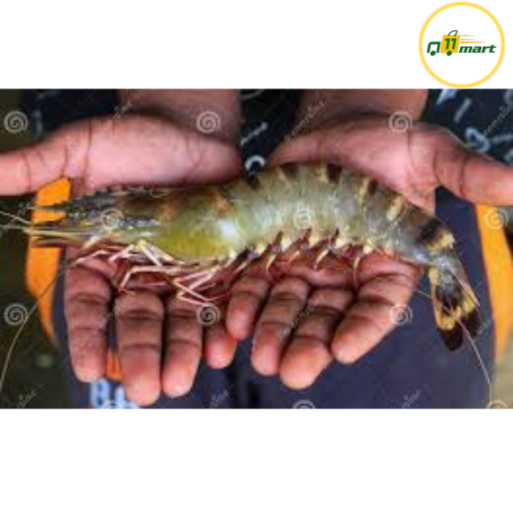 Tiger Prawn Big Size