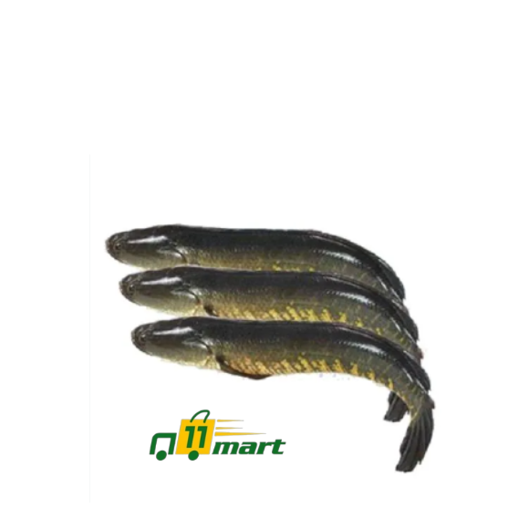 Snakehead murrel/শোল মাছ