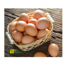 Farm Fresh Eggs/খামারের তাজা ডিম