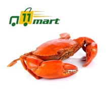 Sea Crab/সামুদ্রিক কাঁকড়া