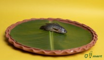 Desi KOI FISH - কই মাছ
