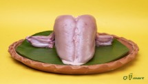 Broiler Chicken BREAST (Boneless)