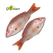 Bhola fish/ভোলা মাছ
