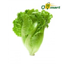 Lettuce romaine green - লেটুস পাতা